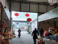 -上海龙吴水胜海发市场