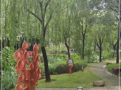 -陈家山荷花公园