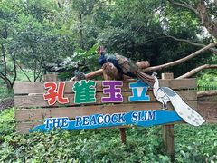 -宁波野生动物园