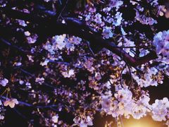 -永乐路-路侧停车场