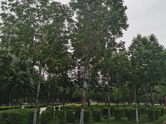 -哈尔滨音乐公园
