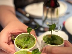 -弦月窗LUNETTE BY AMANDA(复兴路店)