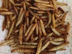 -天强农家菜馆