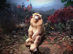 -陕西自然博物馆