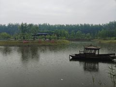 -合肥滨湖国家森林公园