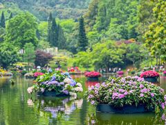 -深圳仙湖植物园