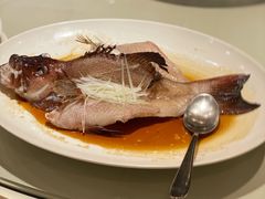 清蒸石斑鱼-利苑酒家(华熙国际店)