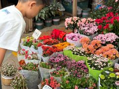 -梅陇花鸟市场-停车场