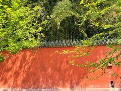 -泰山风景名胜区-普照寺