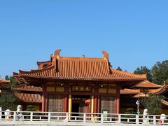 -三水森林公园