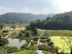 -国恩寺