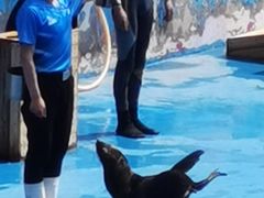 -北戴河圣蓝海洋公园