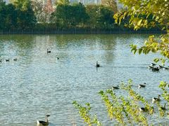 -艾溪湖湿地公园