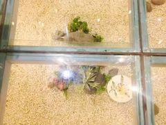 -确喜美味小厨(西单商场兰州店)