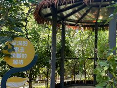 -太阳宫公园