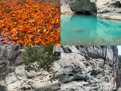 -楠溪江风景名胜区