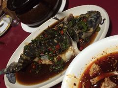 -土桥手掌鸡·26年灌县老味道(都江堰店)