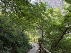 -黑龙潭风景区