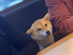 -湘鼎盛·大厨鲜炒湖南味(高新银泰店)