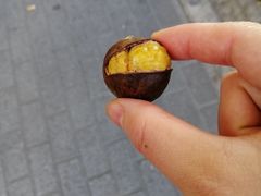 -粒上皇(上海瞿溪路店)