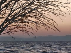 -捞渔河湿地公园