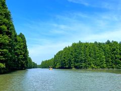 -上海海湾国家森林公园