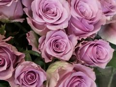 -静岸花卉园艺(三星坊店)