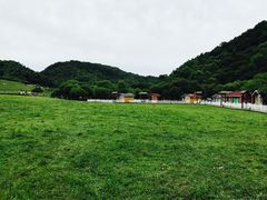 -大水川景区