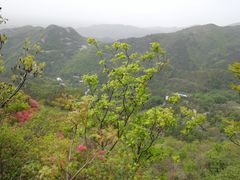 -木兰云雾山