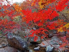 -本溪老边沟风景区