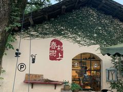 -村上春树