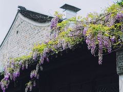 -老门东历史文化街区
