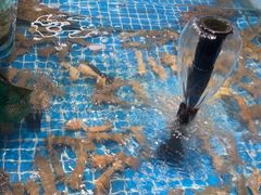 -和源祥·日照菜扛把子(万平口一店)