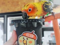 -吾叁·吉趣鸟咖(万科店)