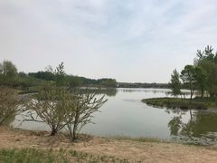 -东郊湿地公园