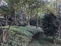 -重庆彩云湖湿地公园