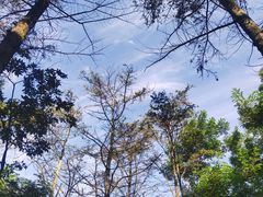 -谭鸭血老火锅(漳州路店)