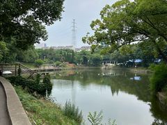 -太子山公园(园东路)