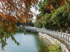 -深圳仙湖植物园