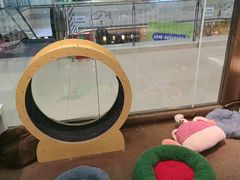 -大型宠物商超·宠海王国·宠物猫狗活体·用品·美容(新世界百货重庆店)