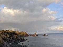 -涉地可支