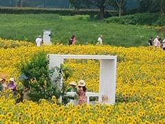 -苏州湾体育公园