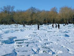 -长春市南湖公园