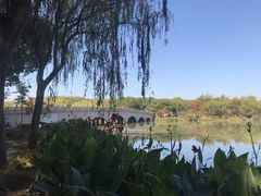 -昆山城市生态森林公园