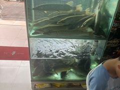 -煲来饱去冷水鱼
