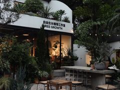-自由生长植物工作室(深港花卉中心店)