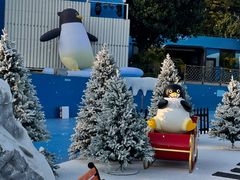 -汕头中海黄金海岸水上乐园