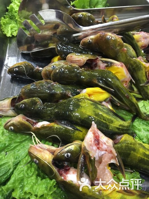 汉中鱼庄(纬二街店)图片 - 第325张