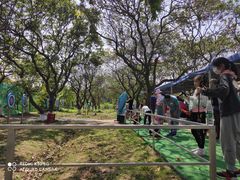 -长洲岛都市农业公园