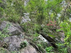 -东天目山风景区